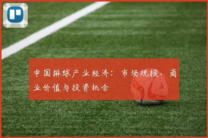 中国排球产业经济：市场规模、商业价值与投资机会